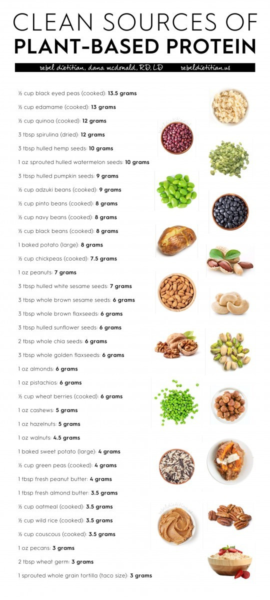 Plant Based Diet Protein
 Clean Sources of Protein