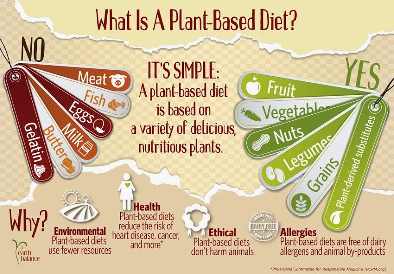 Plant Based Diet Quotes
 10 March 2014
