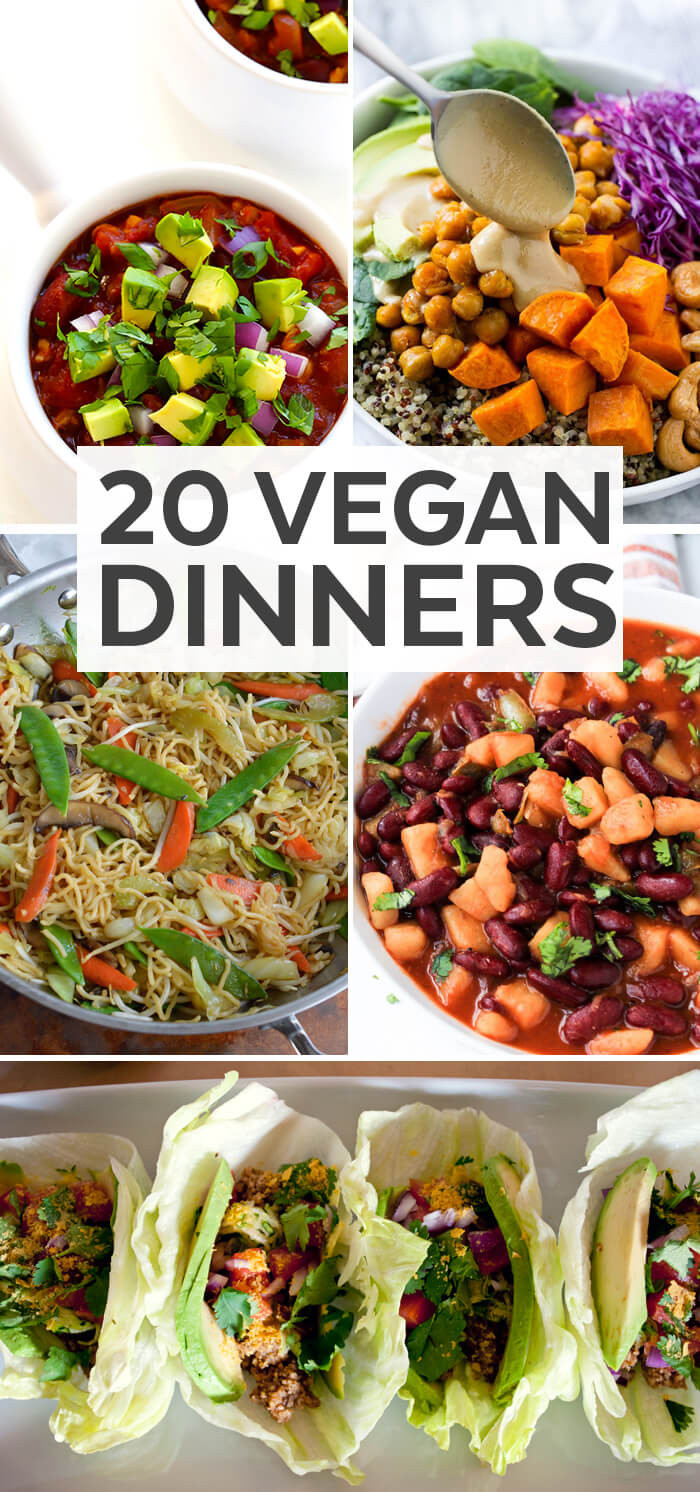 Plant Based Diet Recipes Dinner
 20 Vegan Dinner Ideas Plant Based Diet Recipe Ideas