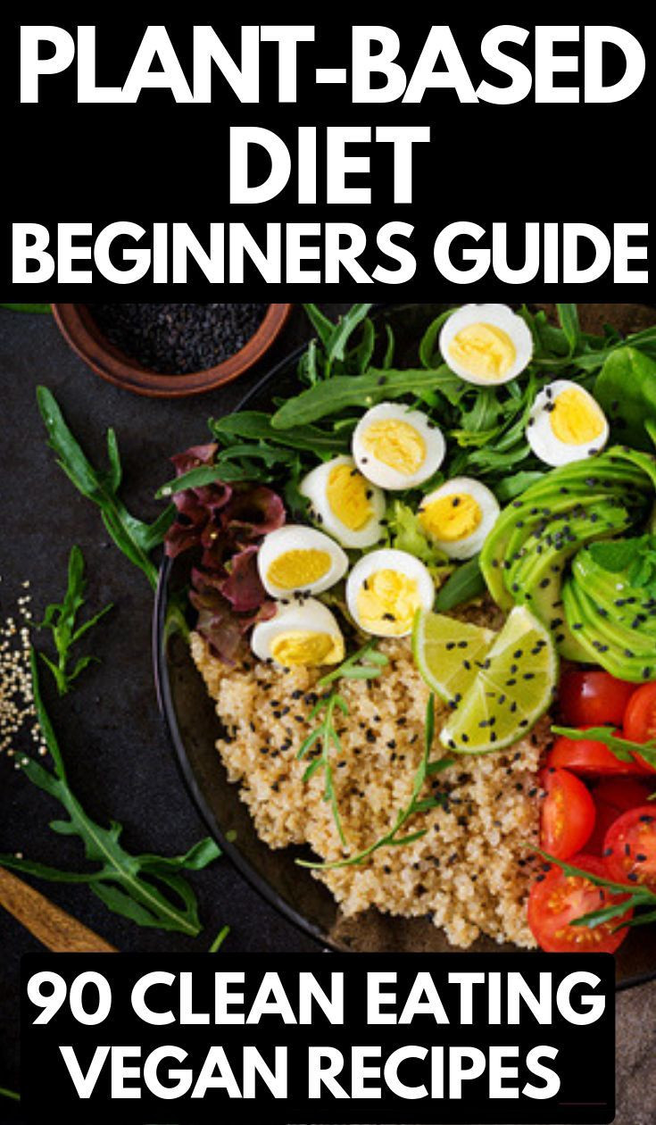 Plant Based Diet Recipes For Beginners
 Plant Based Diet Meal Plan For Beginners 90 Plant Based