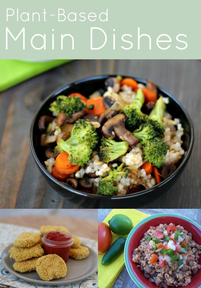 Plant Based Diet Recipes
 Plant Based Recipes My Plant Based Family