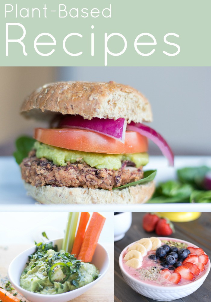 Plant Based Diet Recipes
 Plant Based Recipes My Plant Based Family