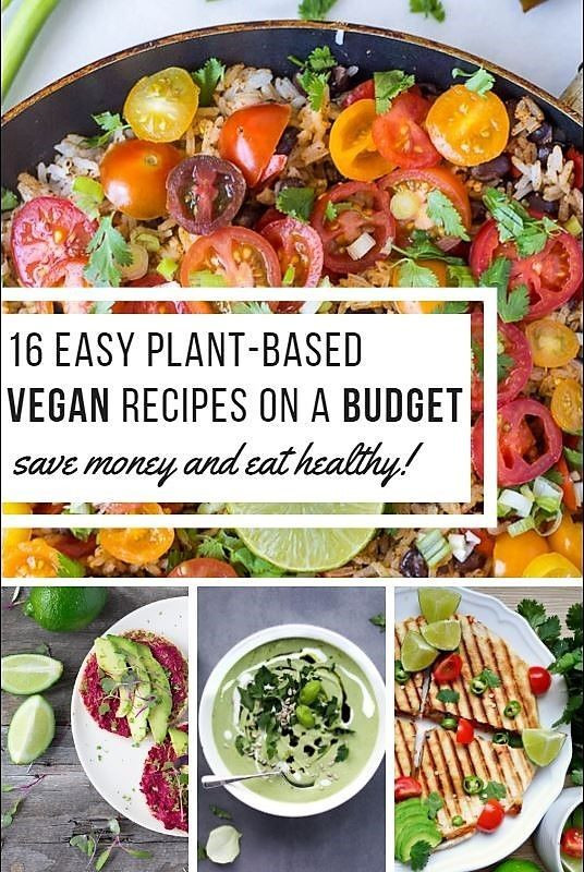 Plant Based Recipes Easy Cheap
 16 easy plant based vegan recipes on a bud SAVE MONEY