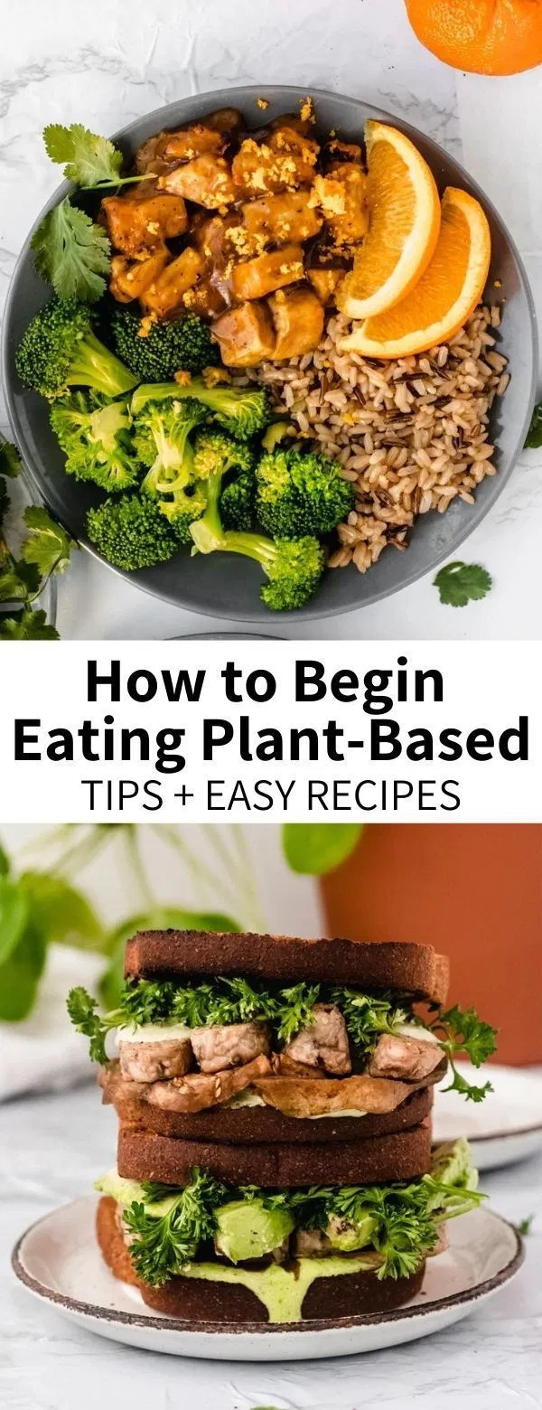 Plant Based Recipes For Beginners Dessert
 The Plant Based Kitchen A Beginner s Guide – Garlic Head