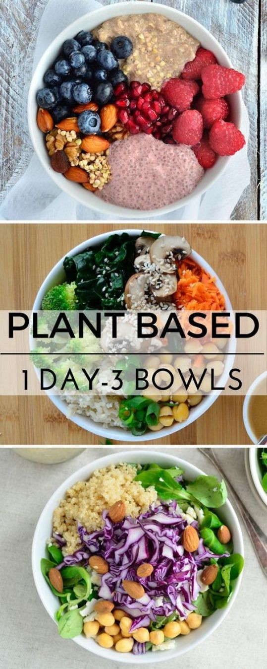 Plant Based Recipes For Beginners Gluten Free
 BuzzFeed