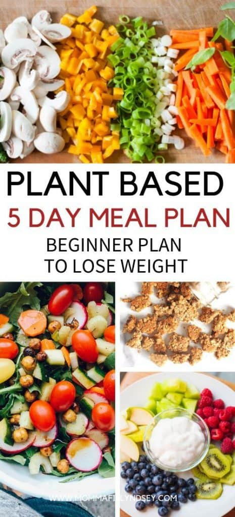 Plant Based Recipes For Beginners Grocery List
 Plant Based Diet on a Bud for Beginners Momma Fit Lyndsey