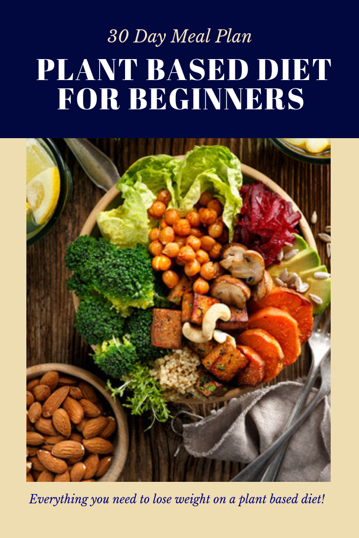 Plant Based Recipes For Beginners Lunch
 Plant Based Diet Meal Plan For Beginners 90 Plant Based