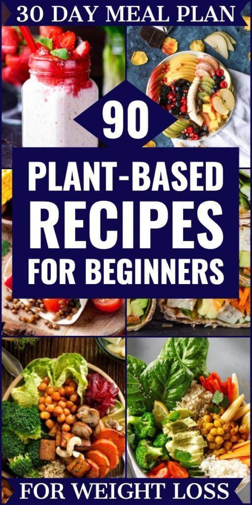 Plant Based Recipes For Beginners Meal Prep
 Plant Based Diet Meal Plan For Beginners 90 Plant Based