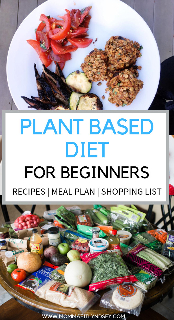 Plant Based Recipes For Beginners On A Budget
 Plant Based Diet on a Bud for Beginners With images