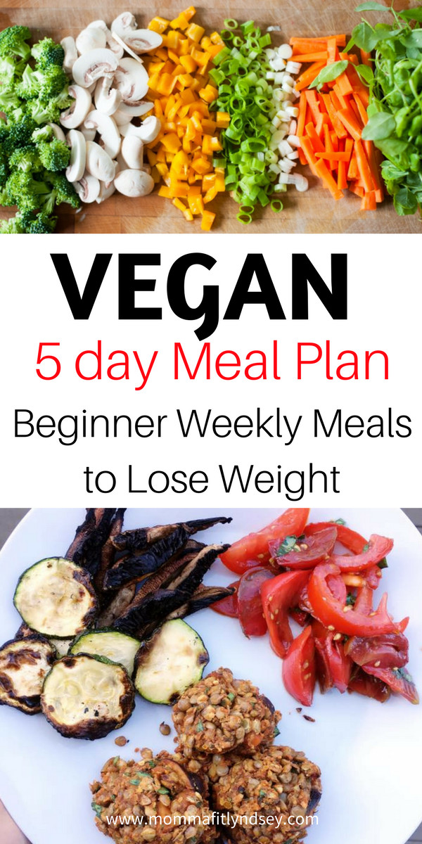 Plant Based Recipes For Beginners On A Budget
 Plant Based Diet on a Bud for Beginners Eats