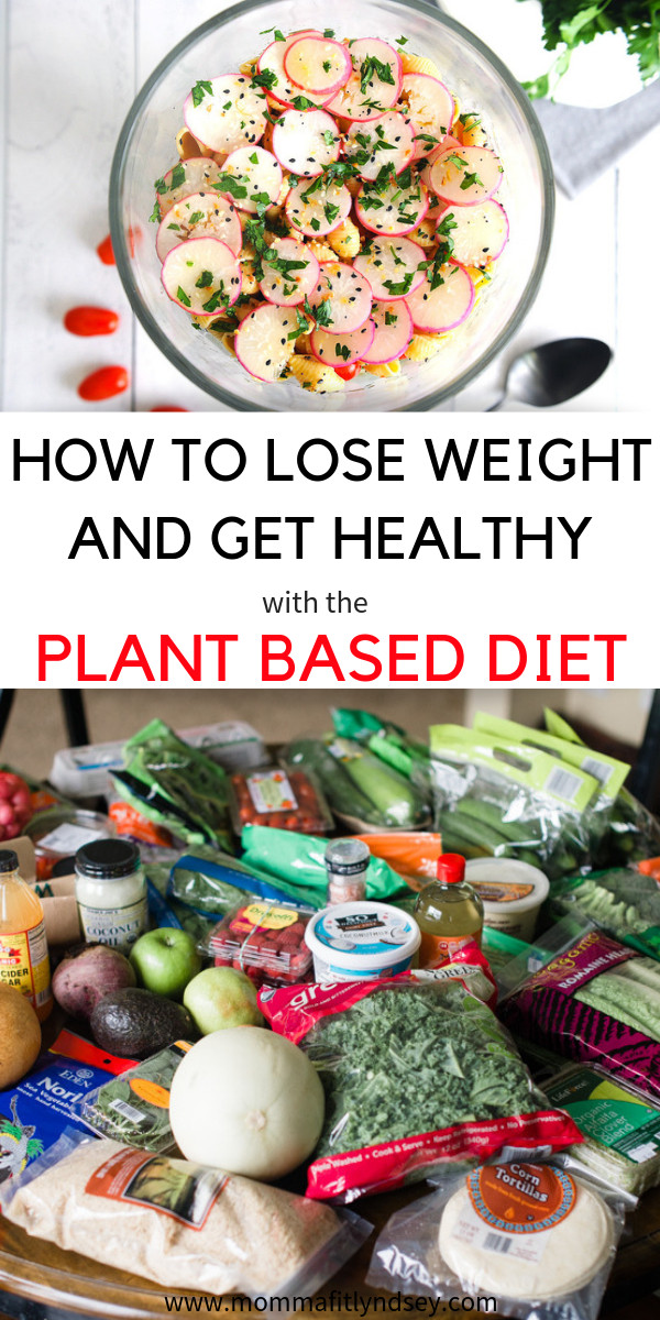 Plant Based Recipes For Beginners On A Budget
 Plant Based Diet on a Bud for Beginners