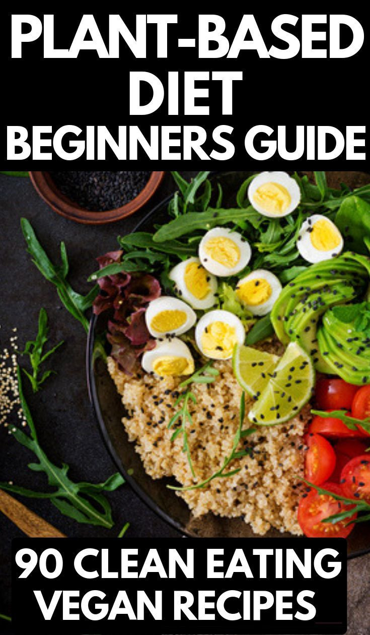 Plant Based Recipes For Beginners On A Budget
 Plant Based Diet Meal Plan For Beginners 90 Plant Based