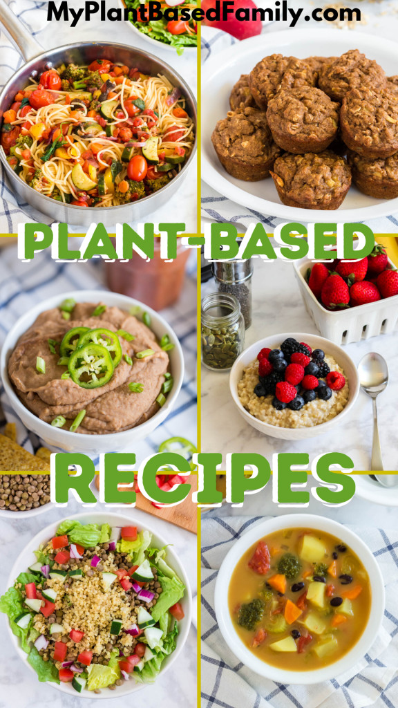 Plant Based Recipes For Families
 Plant Based Recipes My Plant Based Family