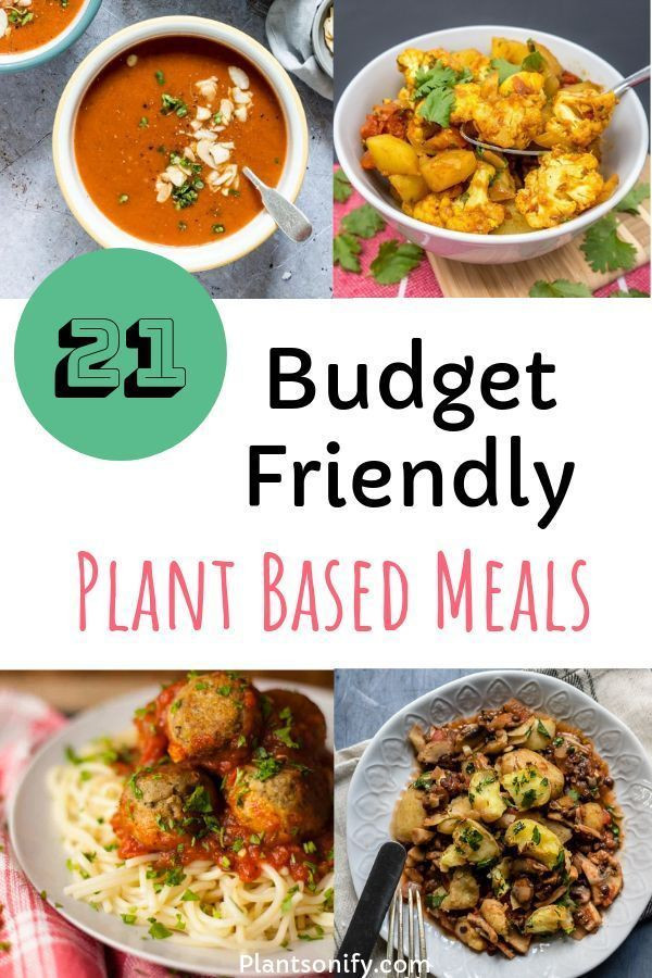 Plant Based Recipes For Families
 21 Quick & Easy Plant Based Family Meals That Are Bud