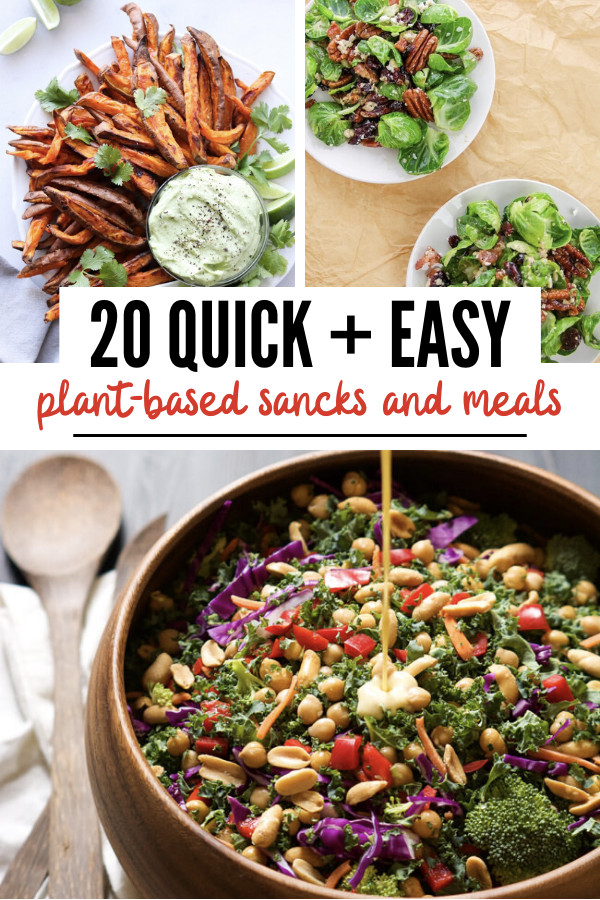 Plant Based Recipes Snacks
 Quick Plant Based Meals and Snacks