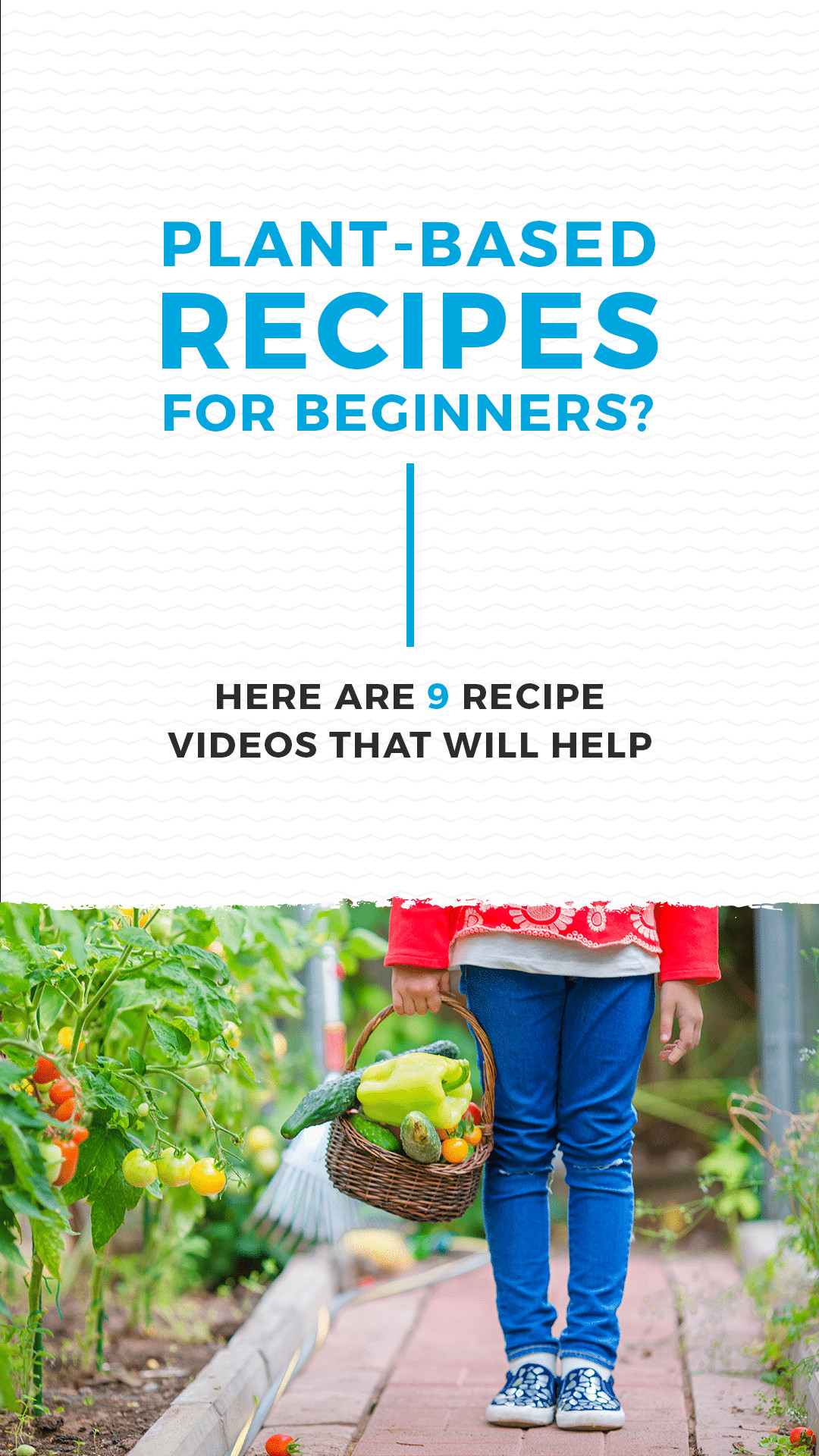 Plant Based Recipes Videos
 Plant Based Recipes for Beginners Here Are 9 Recipe