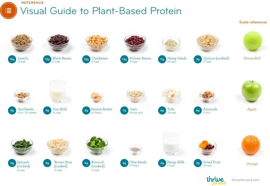Protein From Plant Based Diet
 Plant based protein choices