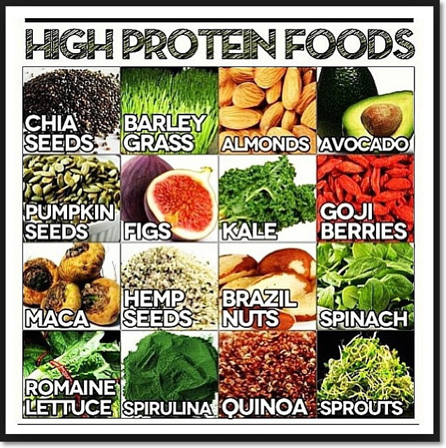 Protein From Plant Based Diet
 Protein Power conscious foo
