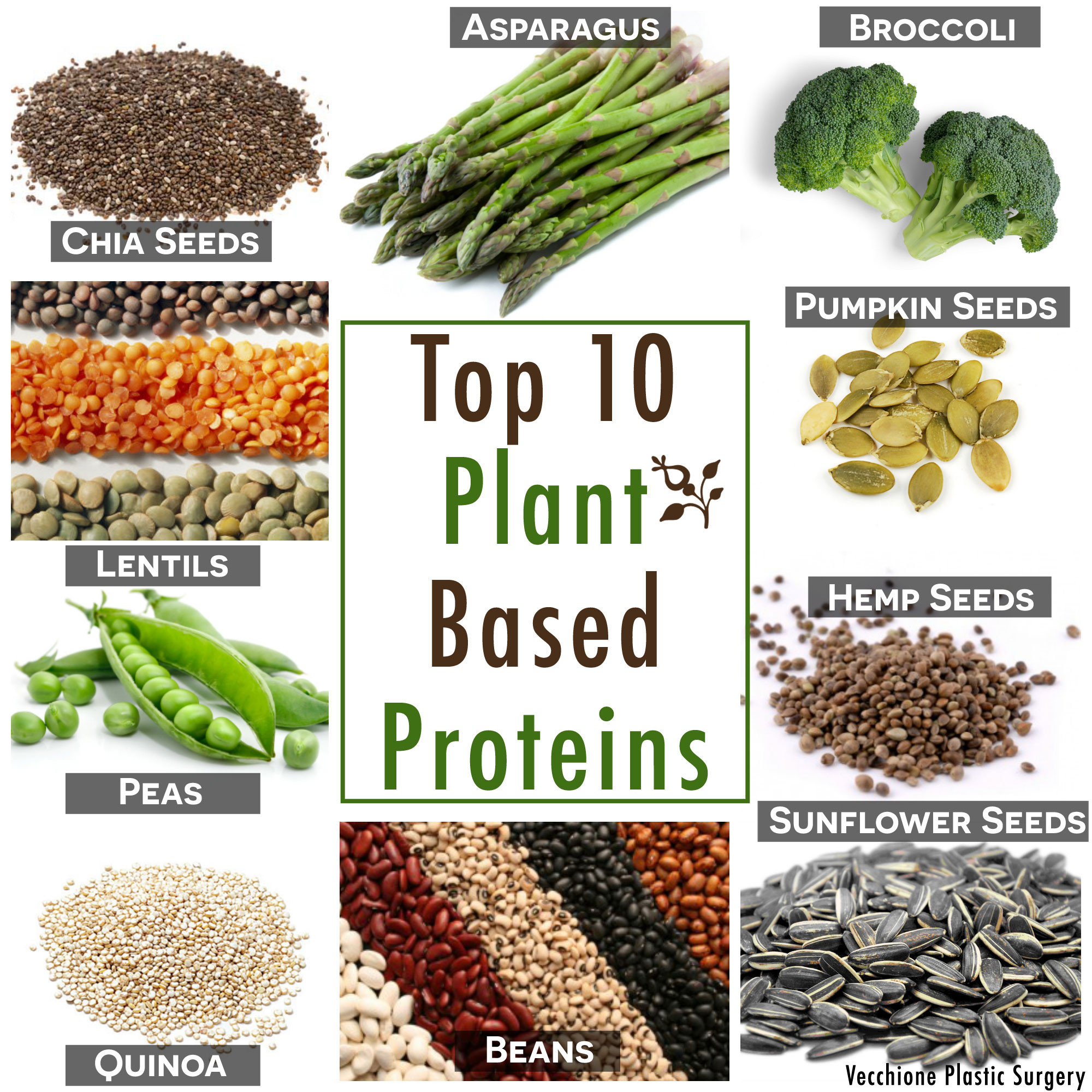 Protein From Plant Based Diet
 Shining The Light Plant Proteins Eating Well 101
