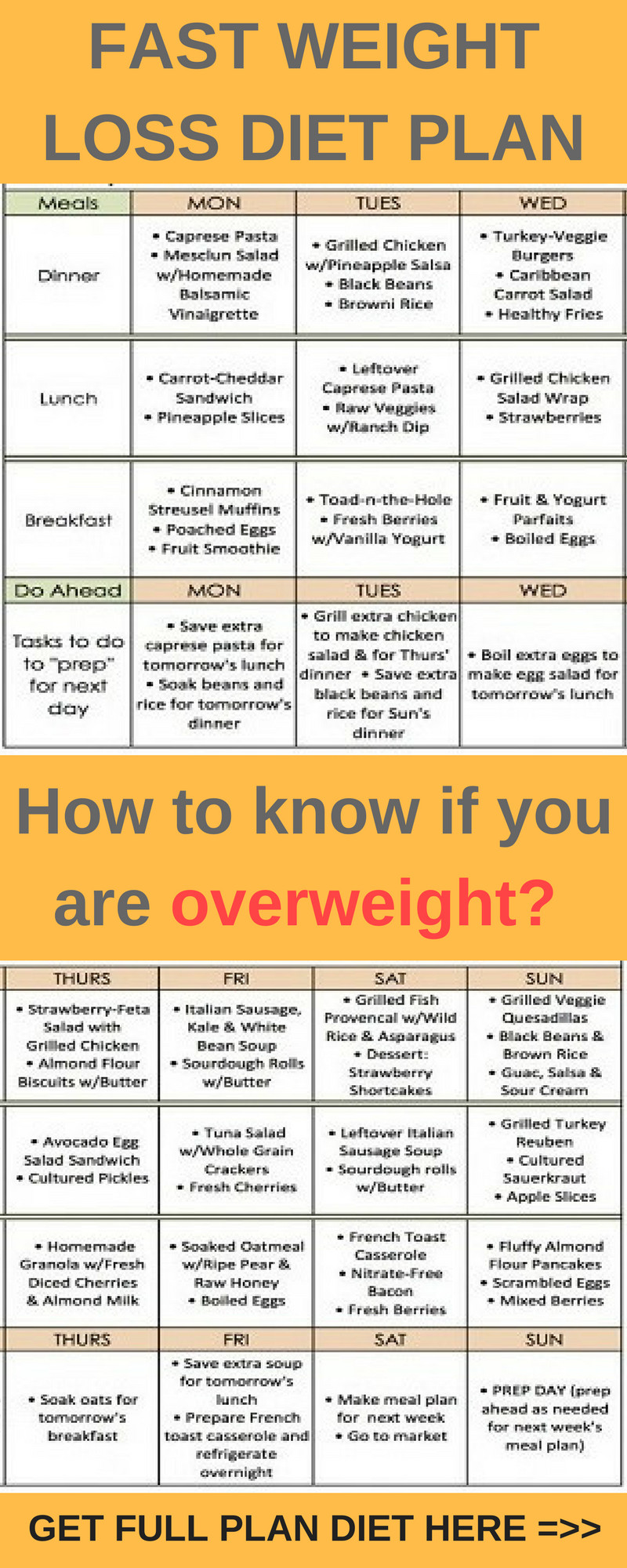 Quick Weight Loss Center Meal Plan
 FAST WEIGHT LOSS DIET PLAN HFS Tips