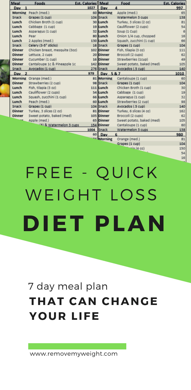 Quick Weight Loss Plan
 FREE Quick Weight Loss Diet Plan Menu Plan for Weight Loss