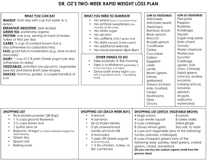 Quick Weight Loss Plan
 Dr Oz s Rapid Weight Loss Plan e Sheet
