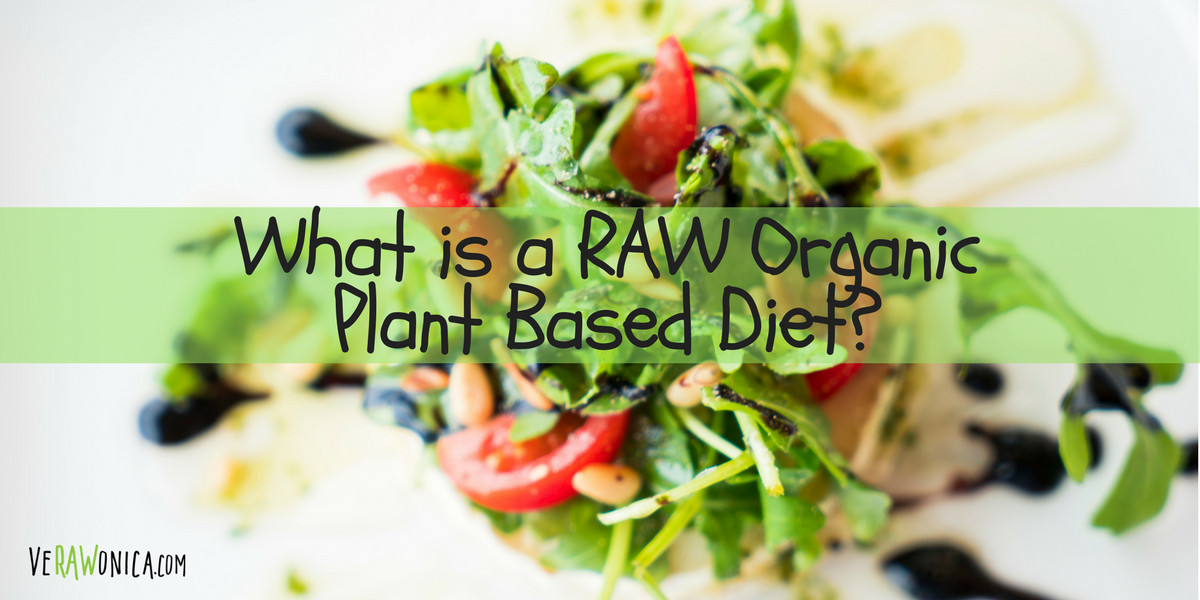 Raw Plant Based Diet
 What is a Raw Plant Based Foodstyle Lifestyle Diet