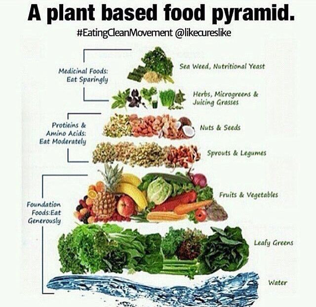 Raw Plant Based Diet
 plant based food pyramid With images