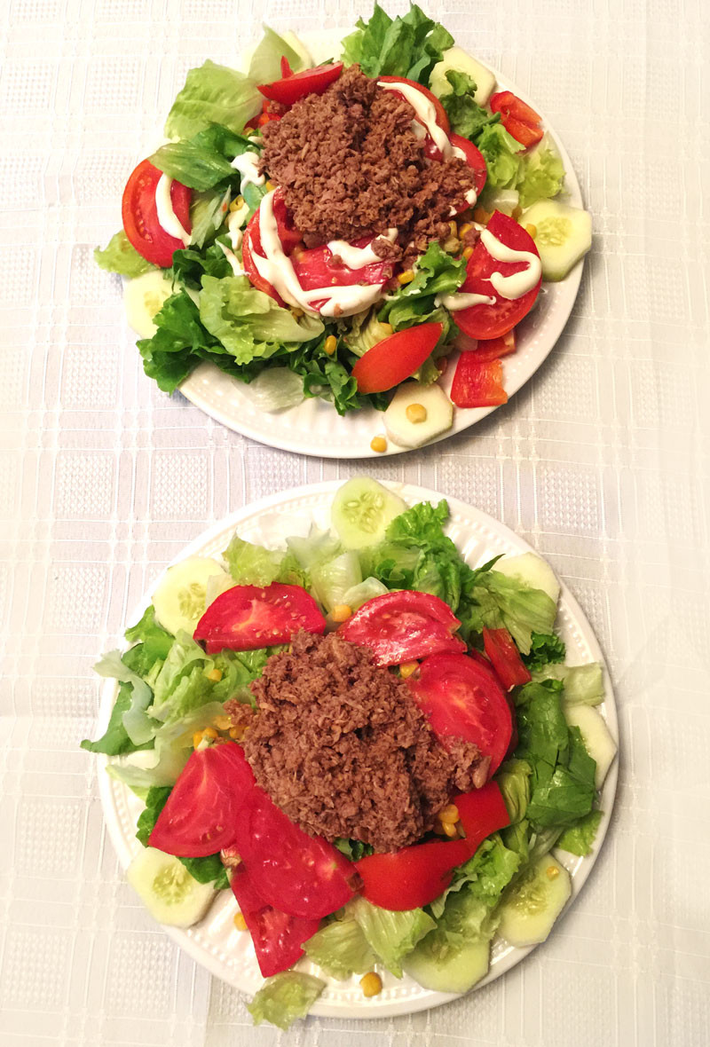 Salad Recipes Low Calorie Diet
 Simple Low Calorie Tuna Salad Better Baking BibleBetter