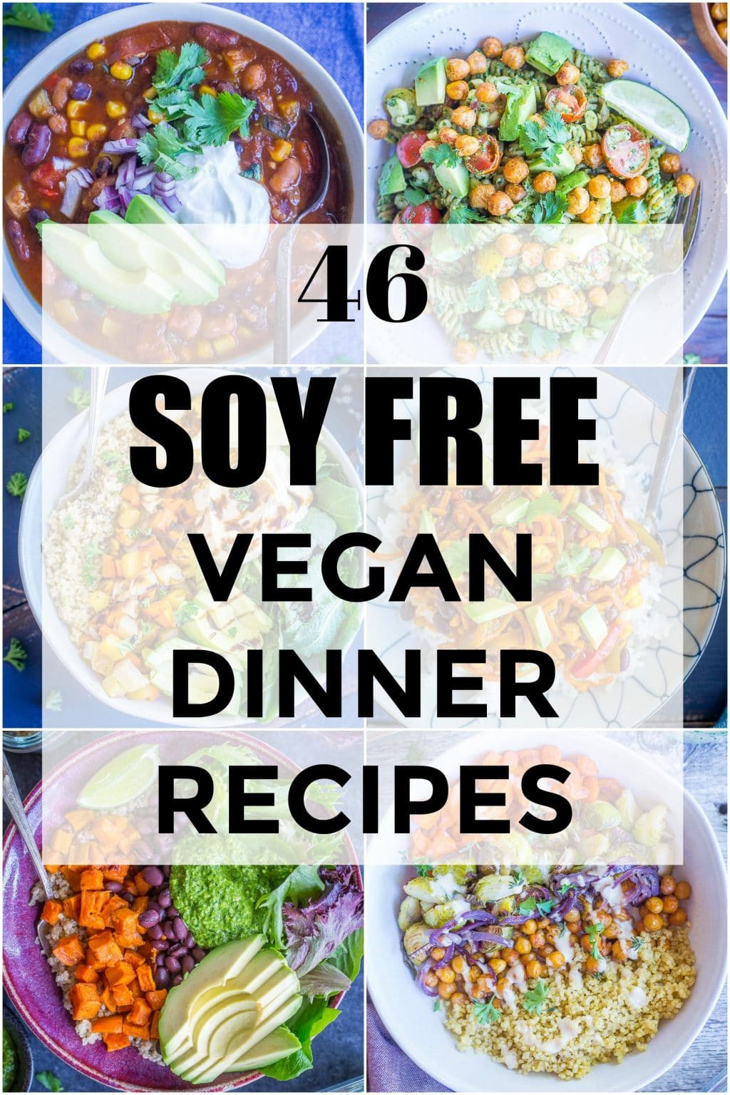 Soy Free Vegan Protein
 46 Soy Free Vegan Dinner Recipes She Likes Food