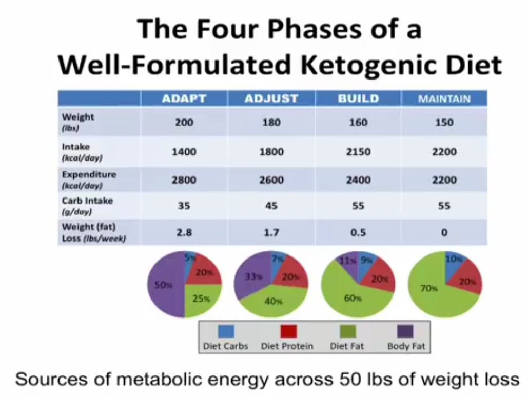 Stages Of Ketosis Diet
 If you do Keto and are looking for friends on here post