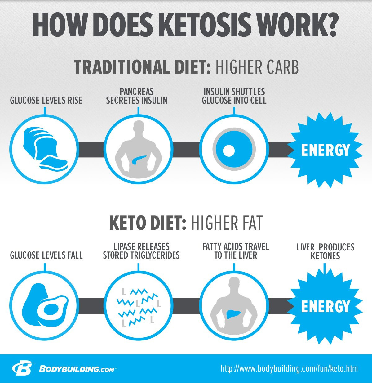 Stages Of Ketosis Diet
 In Depth Look At Ketogenic Diets And Ketosis