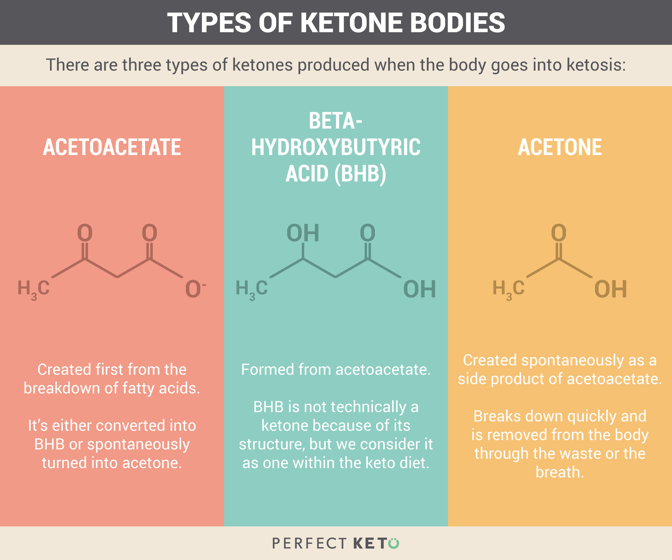 Stages Of Ketosis Diet
 stages of ketosis