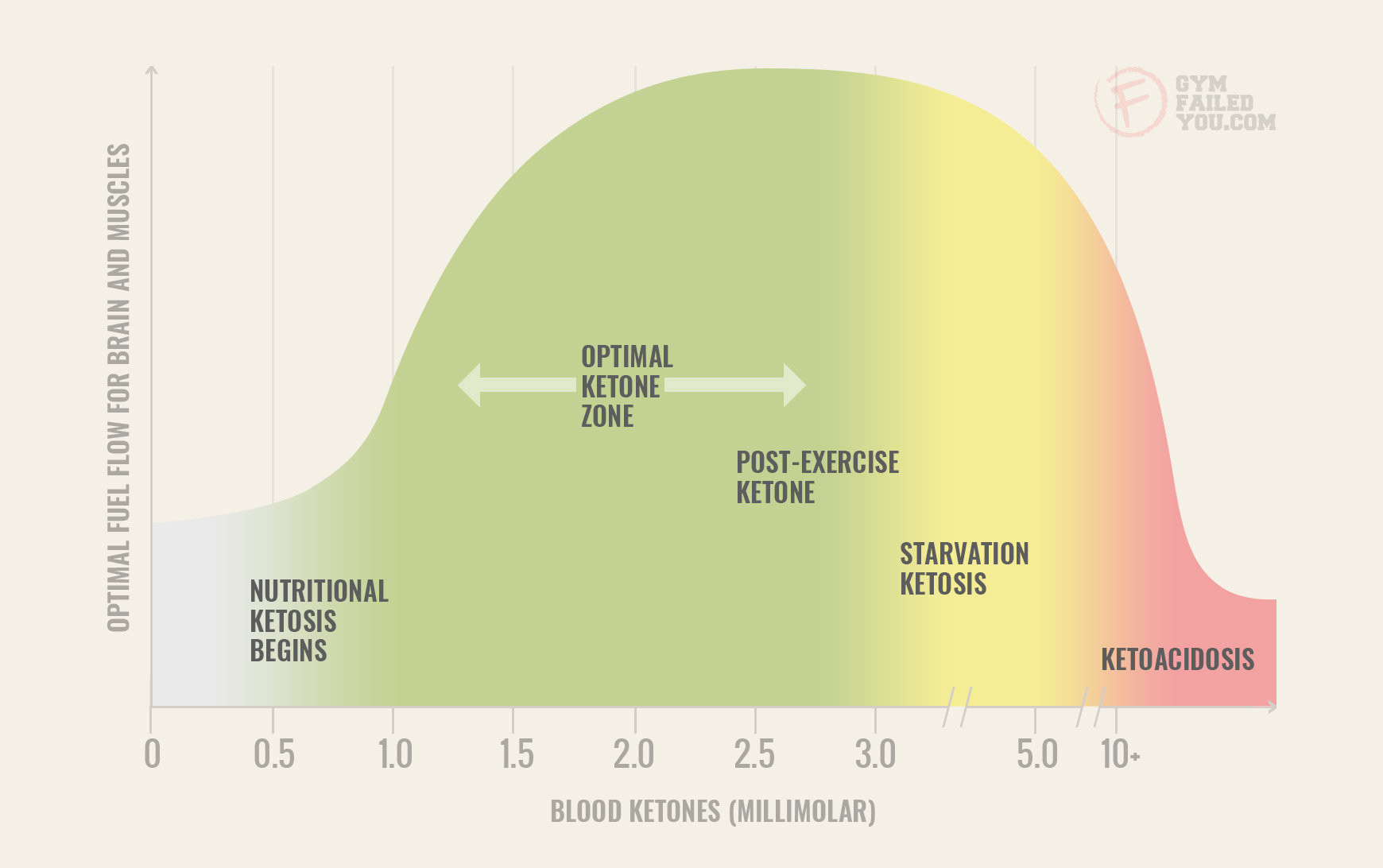 Stages Of Ketosis Diet
 How to Get into Ketosis Fast and Staying There [Safely]