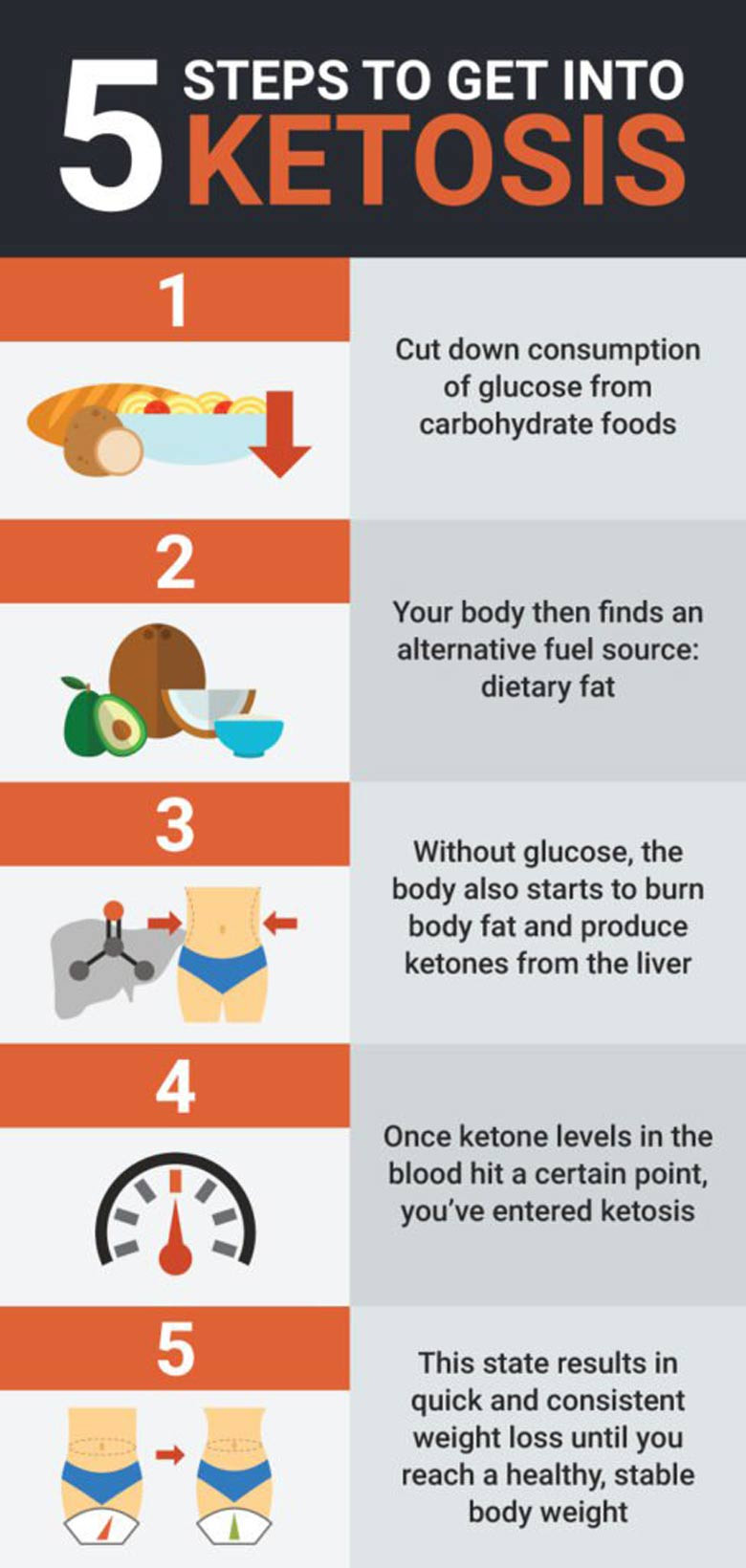Stages Of Ketosis Diet
 Keto Diet for Beginners with Printable Low Carb Food Lists