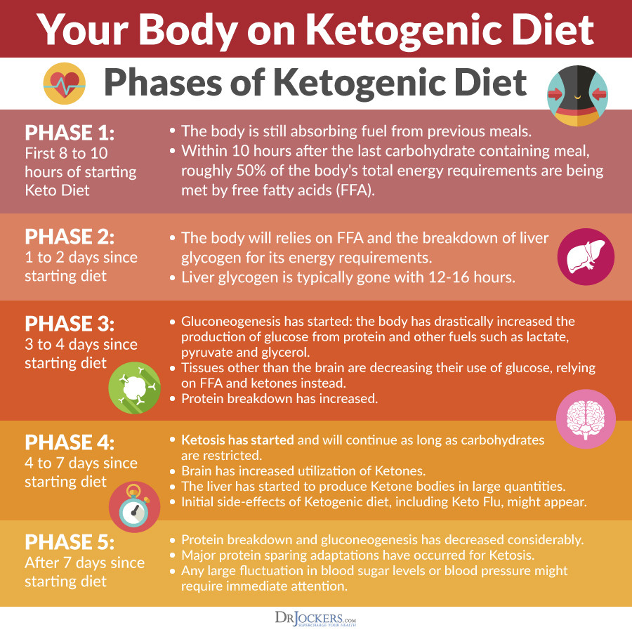 Stages Of Ketosis Diet
 The Keto Metabolic Makeover DrJockers