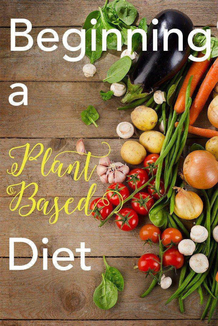 Starting A Plant Based Diet
 Begin a plant based t Health benefits Tips to start