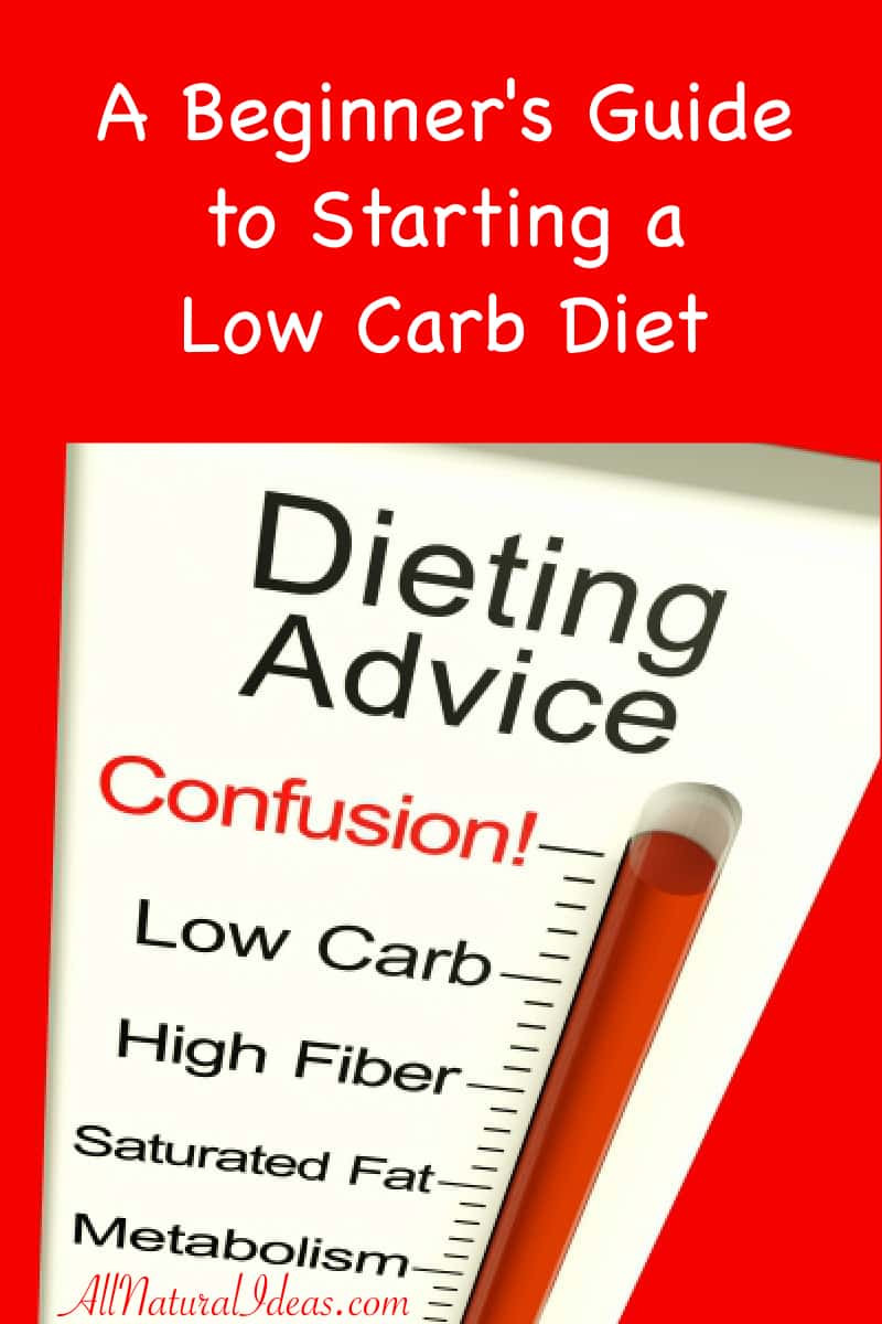 Starting Low Carb Diet
 Low Carb Diet Beginners Guide to Starting