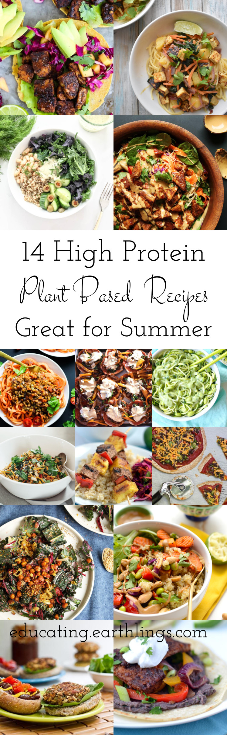 Summer Plant Based Recipes
 14 High Protein Plant Based Recipes