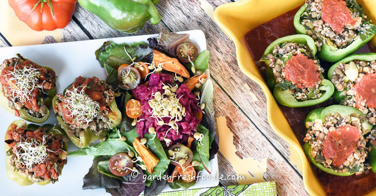 Summer Plant Based Recipes
 Plant Based Recipe Summer Stuffed Peppers