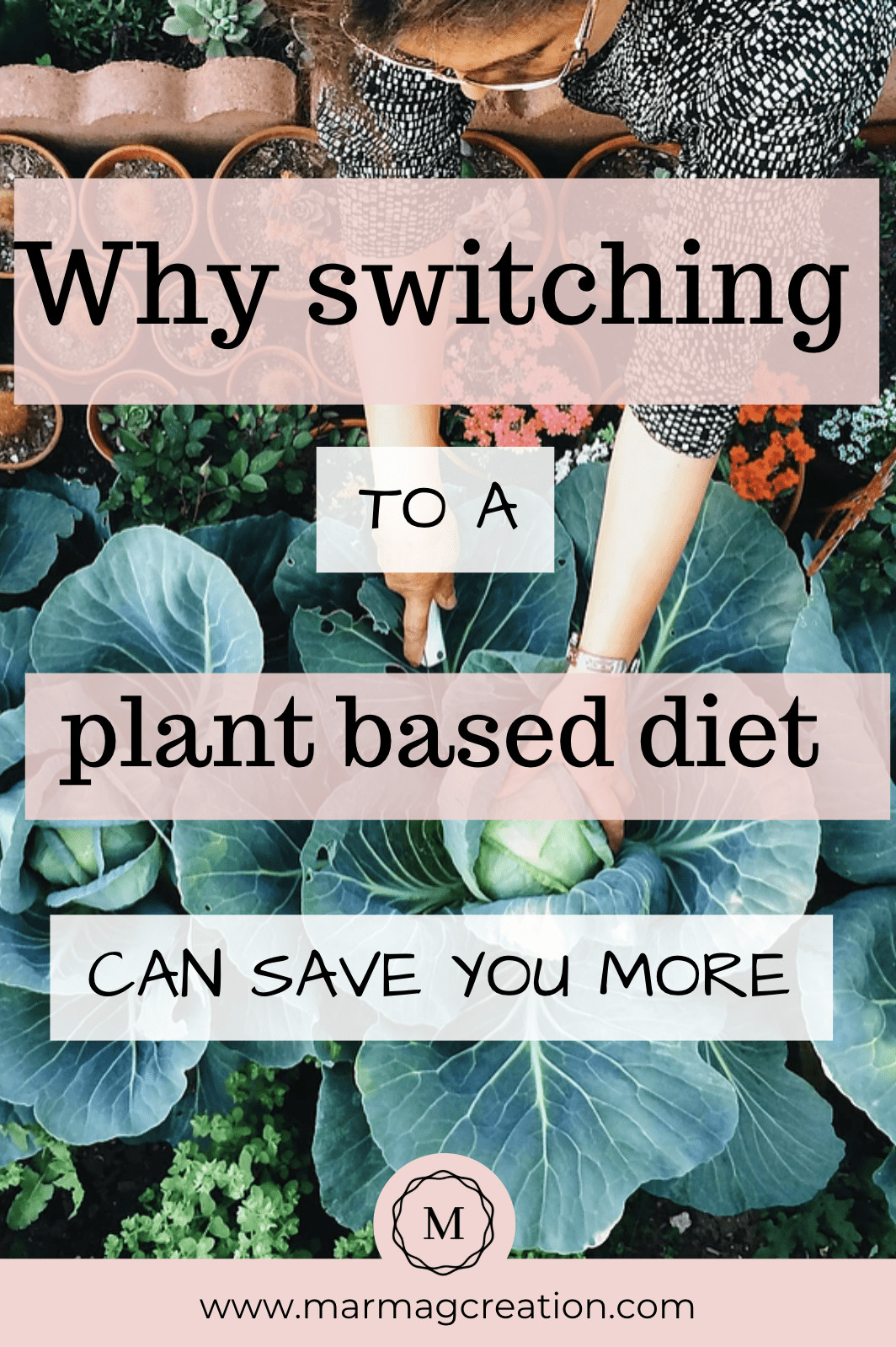 Switching To Plant Based Diet
 Why switching to a plant based t can save more than
