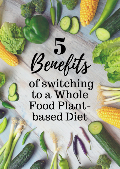 Switching To Plant Based Diet
 5 Benefits of Switching to a Plant Based Diet Health My