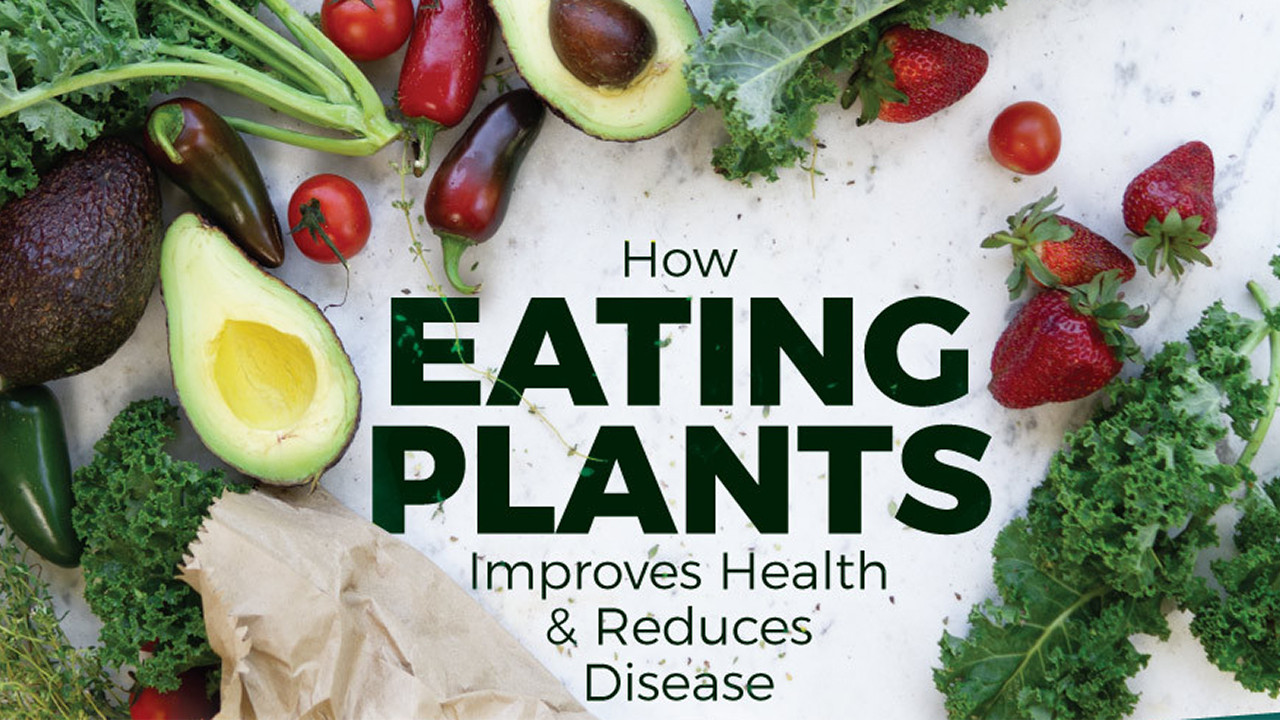 Switching To Plant Based Diet
 Why You Should Consider Switching To A Plant Based Diet