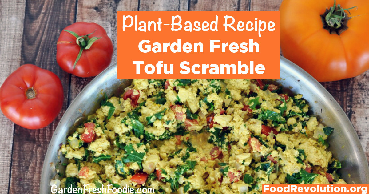 Tofu Plant Based Recipes
 Revolutionary Recipe Garden Fresh Tofu Scramble Food
