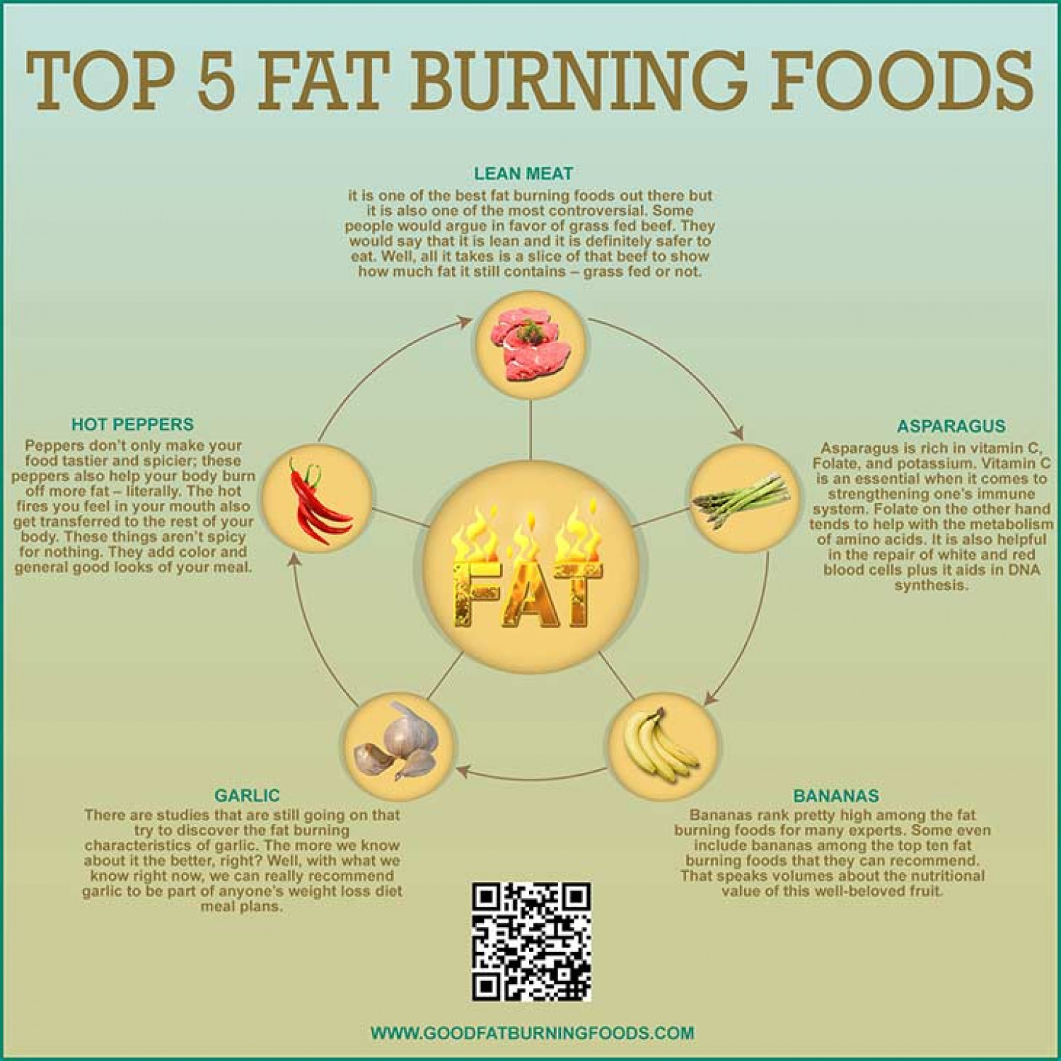 Top Fat Burning Foods
 Top 5 Fat Burning Foods