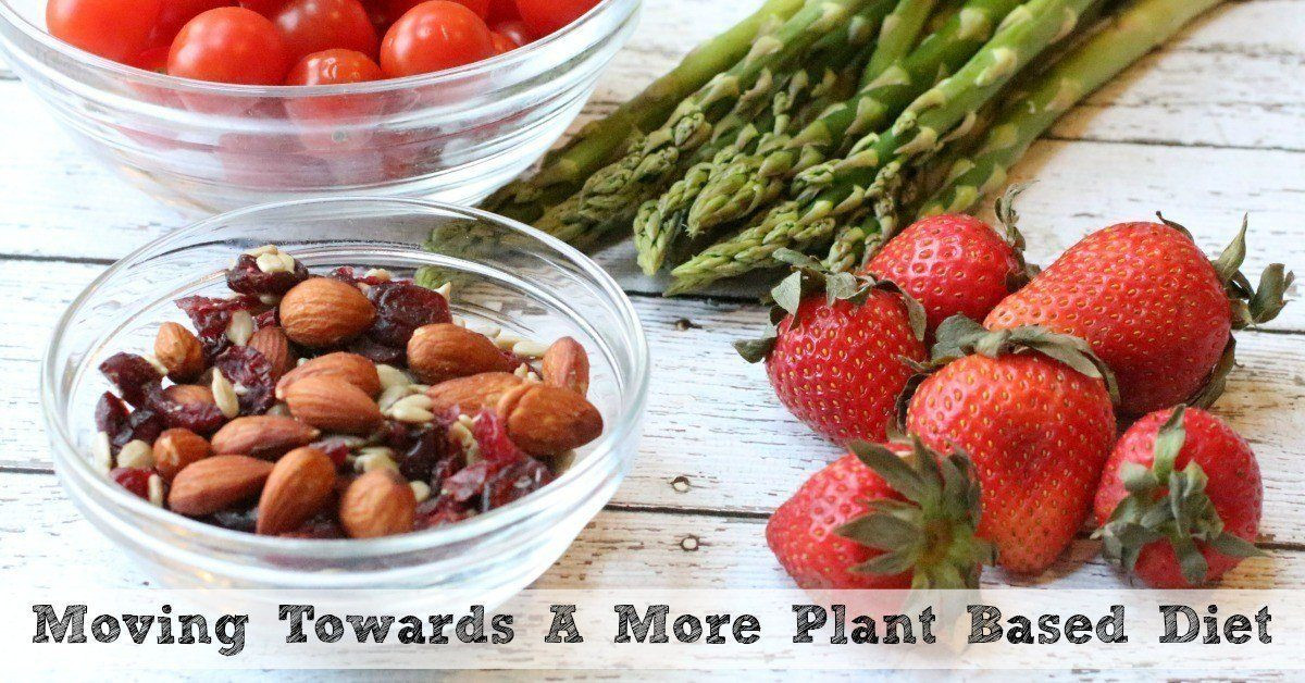 Transition To Plant Based Diet
 Transition to a Plant Based Diet Plant Based Whole Food Diet