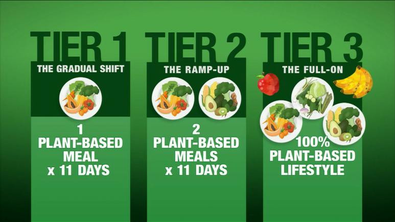 Transition To Plant Based Diet
 How To Transition To a Plant Based Diet