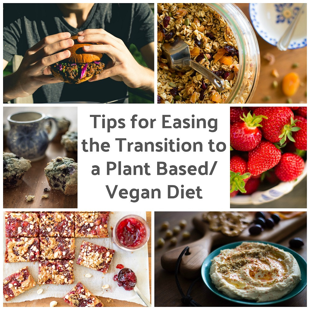 Transitioning To Vegan Plant Based Diet
 11 Tips for Easing the Transition to a Plant Based Diet