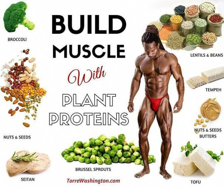 Vegan Bodybuilding Meal Plan Men
 3 Simple Steps for Building Muscle Mass