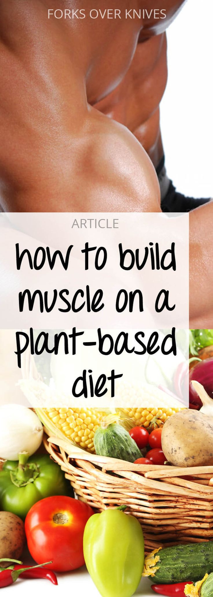 Vegan Bodybuilding Meal Plan Plant Based
 Build Muscle on a Vegan Plant Based Bodybuilding Plan